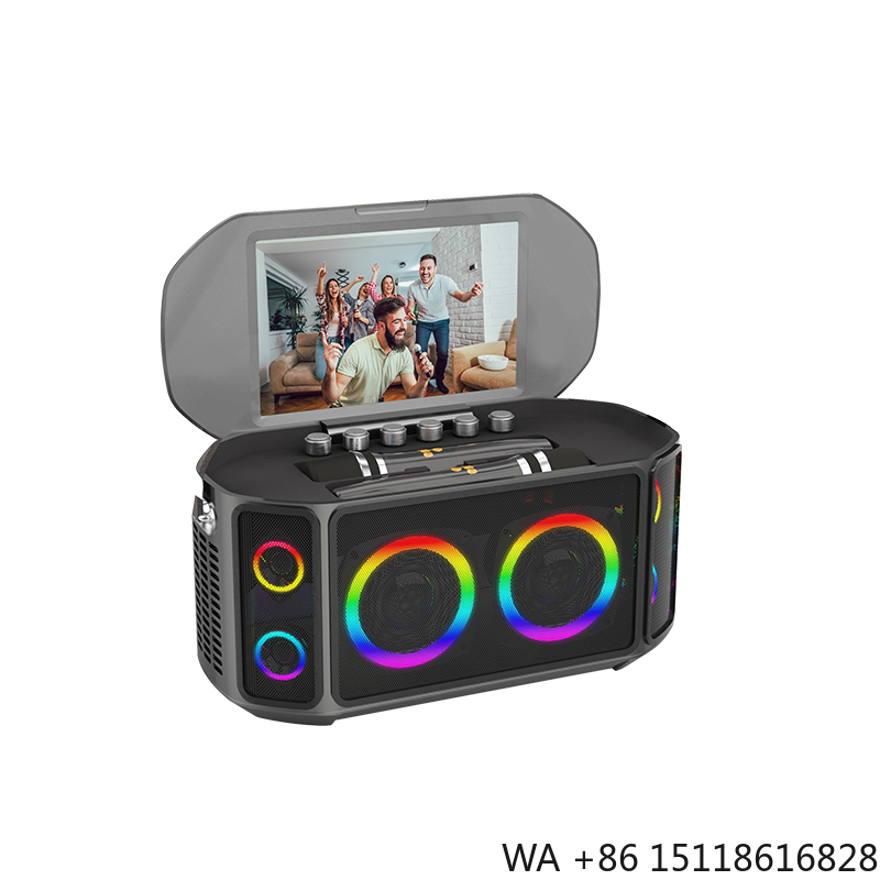 Bluetooth Speaker - Sistema Karaoke All-in-One con Schermo Touch,