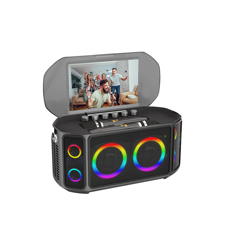 Sistema Karaoke All-in-One con - Bluetooth Speaker recensione e prezzo
